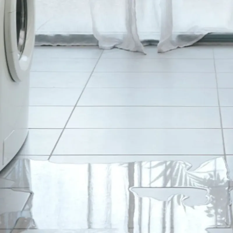 Appliance Leak Cleanup in Friendship, NY