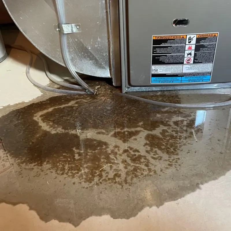 Pipe Burst and Leak Restoration in Friendship, NY